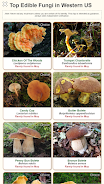 Shroomify - Mushroom Identific Скриншот 2