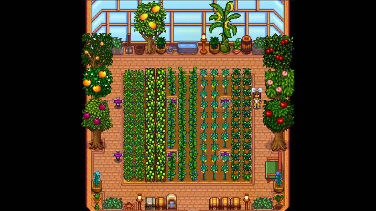 Stardew Greenhouse Plant 용량이 공개되었습니다