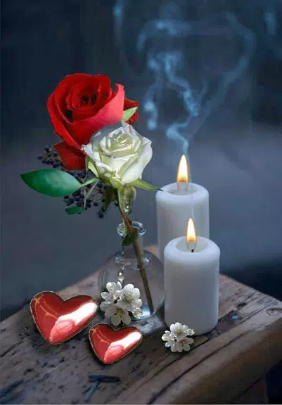 romantic wallpaper应用截图第1张