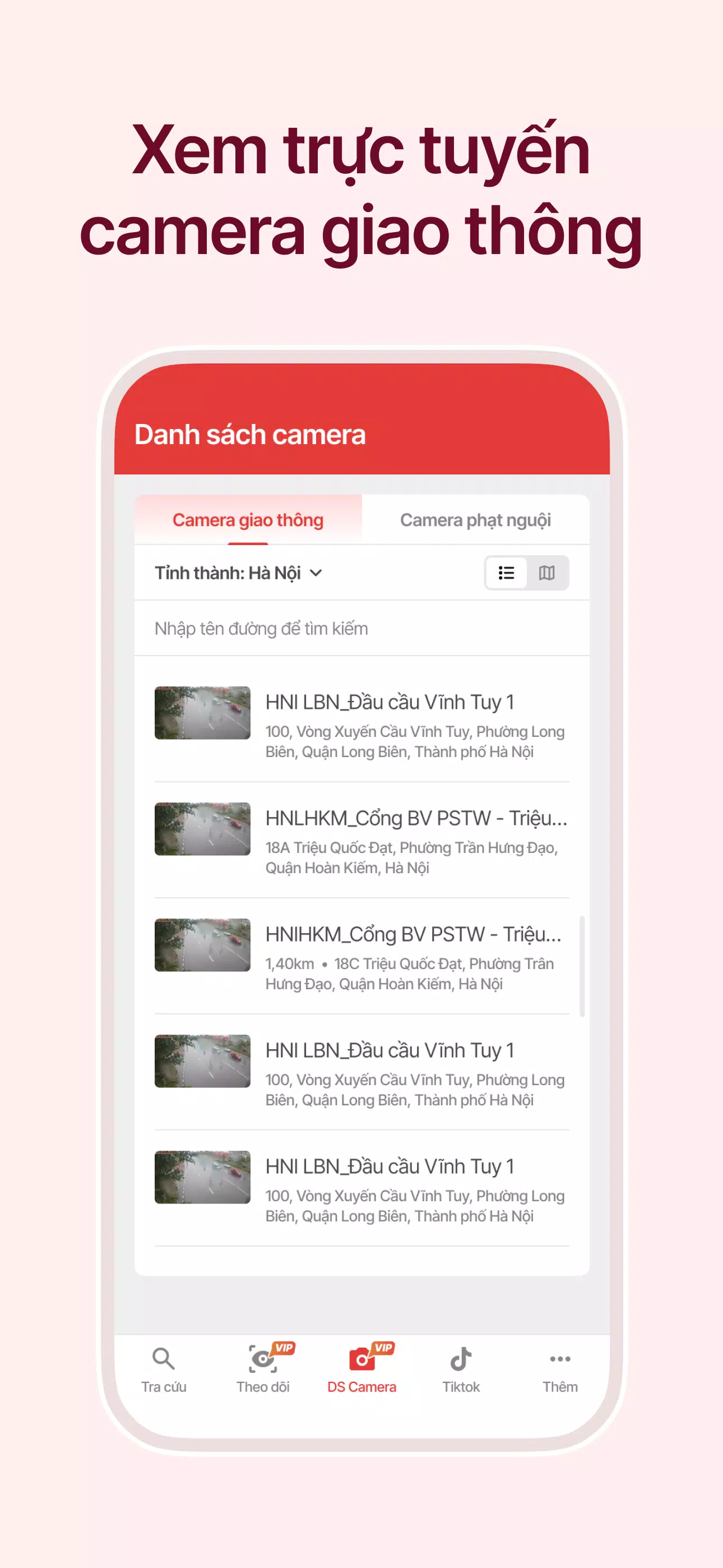 Vietnamese Cold Penalty Lookup Captura de tela 1
