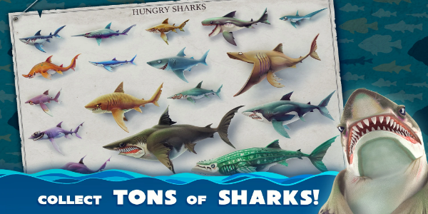 image: Hungry Shark World Shark Customization