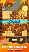 Block Puzzle：Maple Melody 스크린샷 4