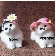 Good Morning Images 2023應用截圖第3張