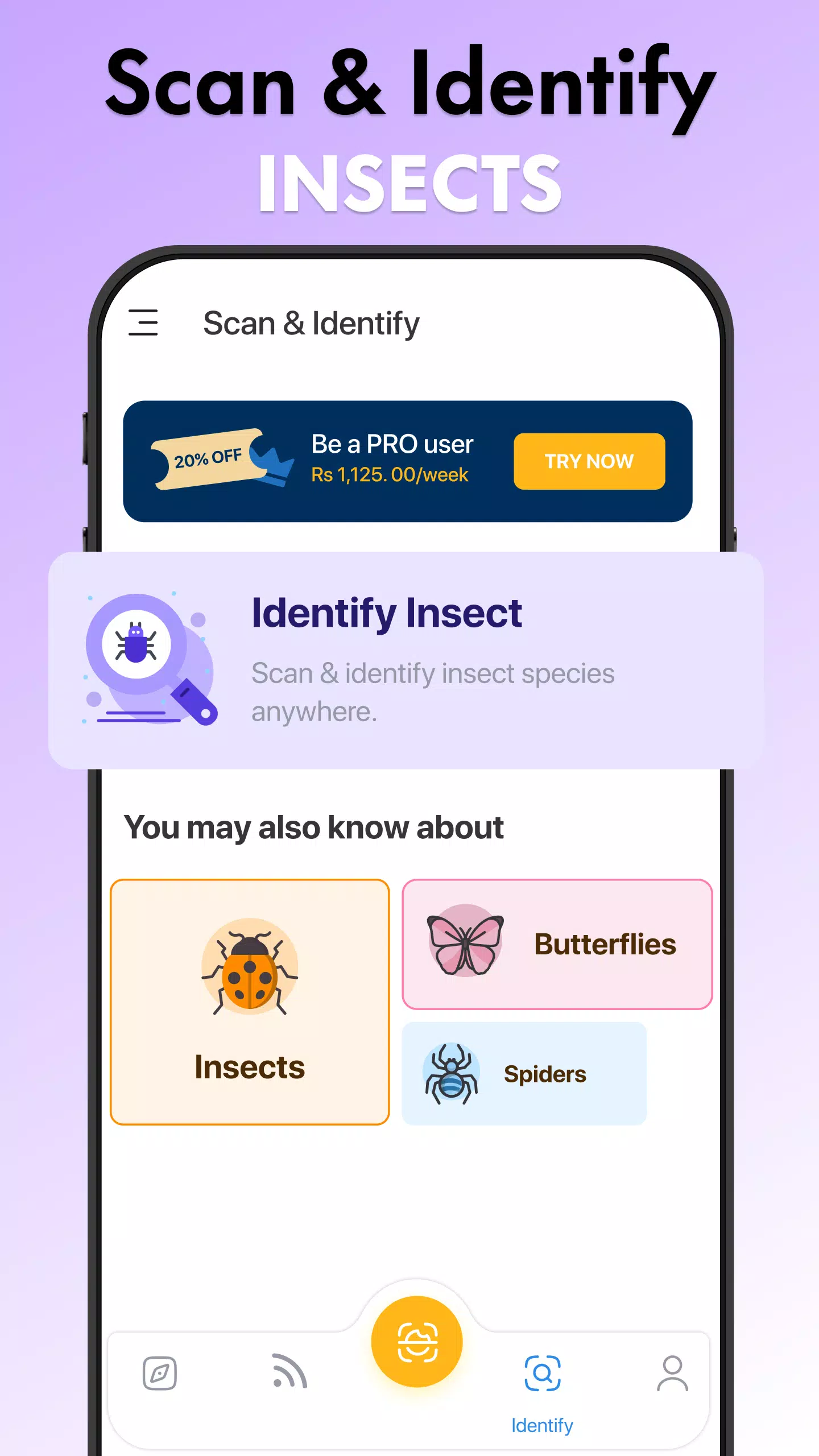 Insect Identifier Bug Identify Screenshot 4