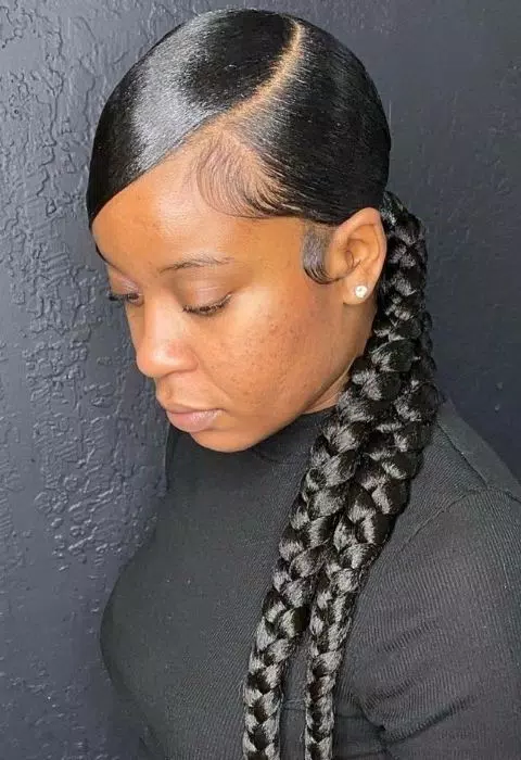 Sleek Braided Ponytail Styles Captura de tela 1