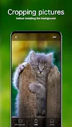 Kitten Wallpapers 4K स्क्रीनशॉट 4