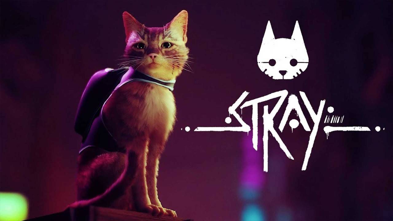 Stray