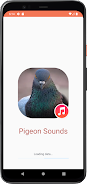 Pigeon Sounds Captura de pantalla 1