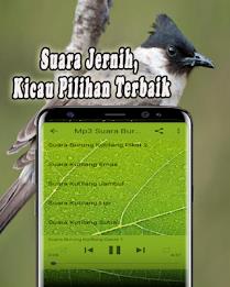 Suara Burung Kutilang Offline Screenshot 4