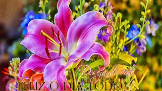 Portuguese Message Good Mornin Скриншот 2