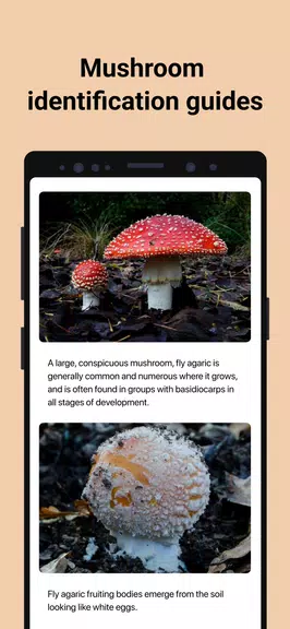Picture Mushroom - Pilzführer Screenshot 4