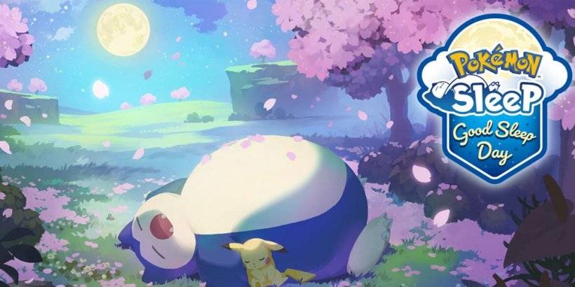 寵物小精靈的睡眠鼓勵睡眠一天的寧靜研究