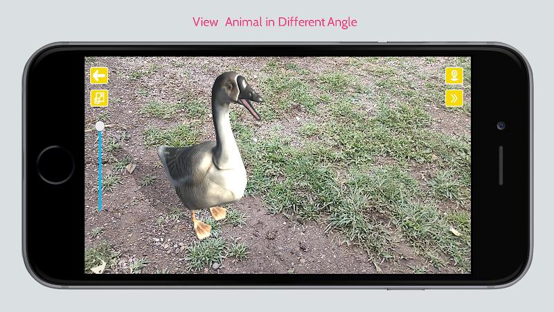 Animal in Ar Скриншот 3