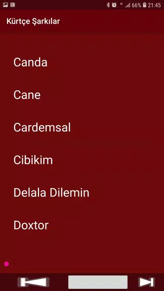 Yeni Kürtçe Şarkılar (İnternetsiz) Capture d’écran 2