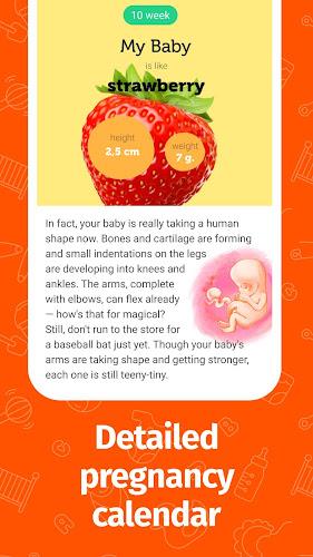 Pregnancy App and Baby Tracker Screenshot 3