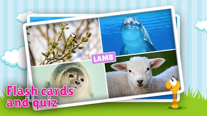 Schermata Animal flashcard & sounds 2