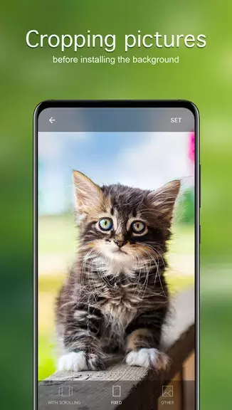 Hintergrundbilder Katzen 4K Screenshot 4