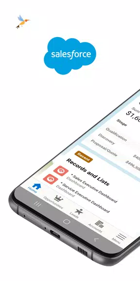 Salesforce 스크린샷 1