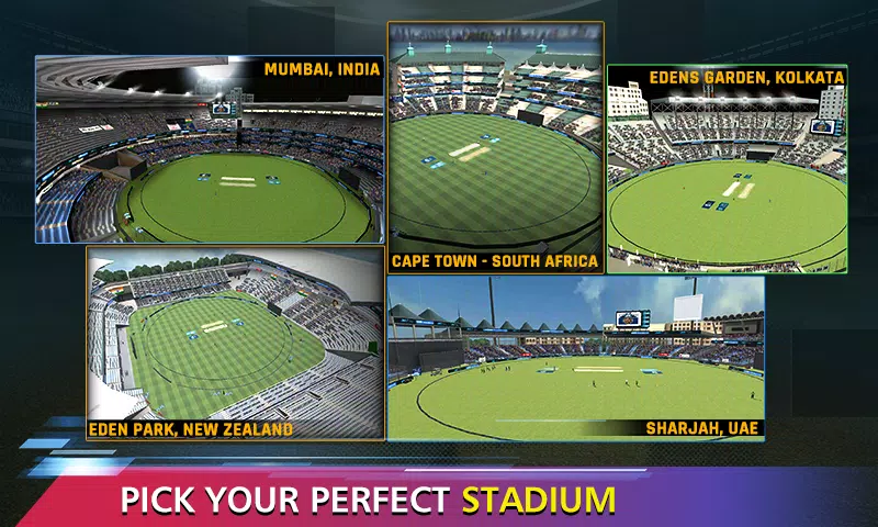 Sachin Saga Cricket Champions Captura de tela 2