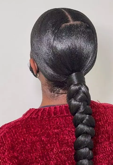 Sleek Braided Ponytail Styles Captura de tela 3