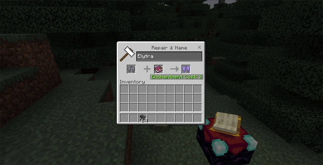 Aktualisieren Sie Elytra