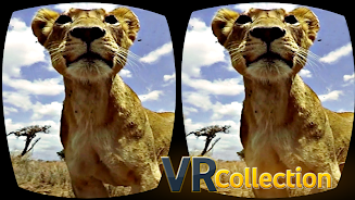 Pack of VR videos スクリーンショット 3