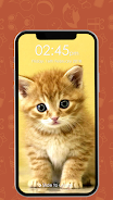 Kitty Cat Pin Lock Screen 스크린샷 1