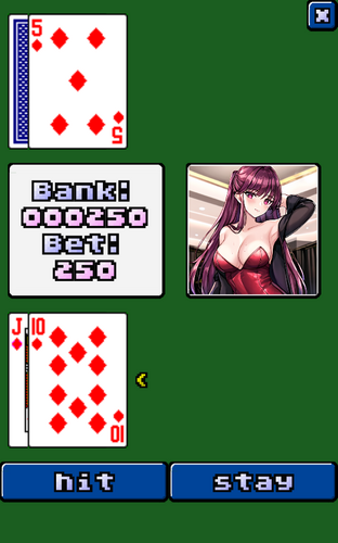 video blackjack Screenshot 3