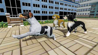 Ayudar a los perros Captura de pantalla 3