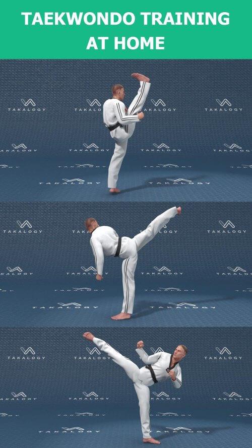 Mastering Taekwondo at Home 스크린샷 2