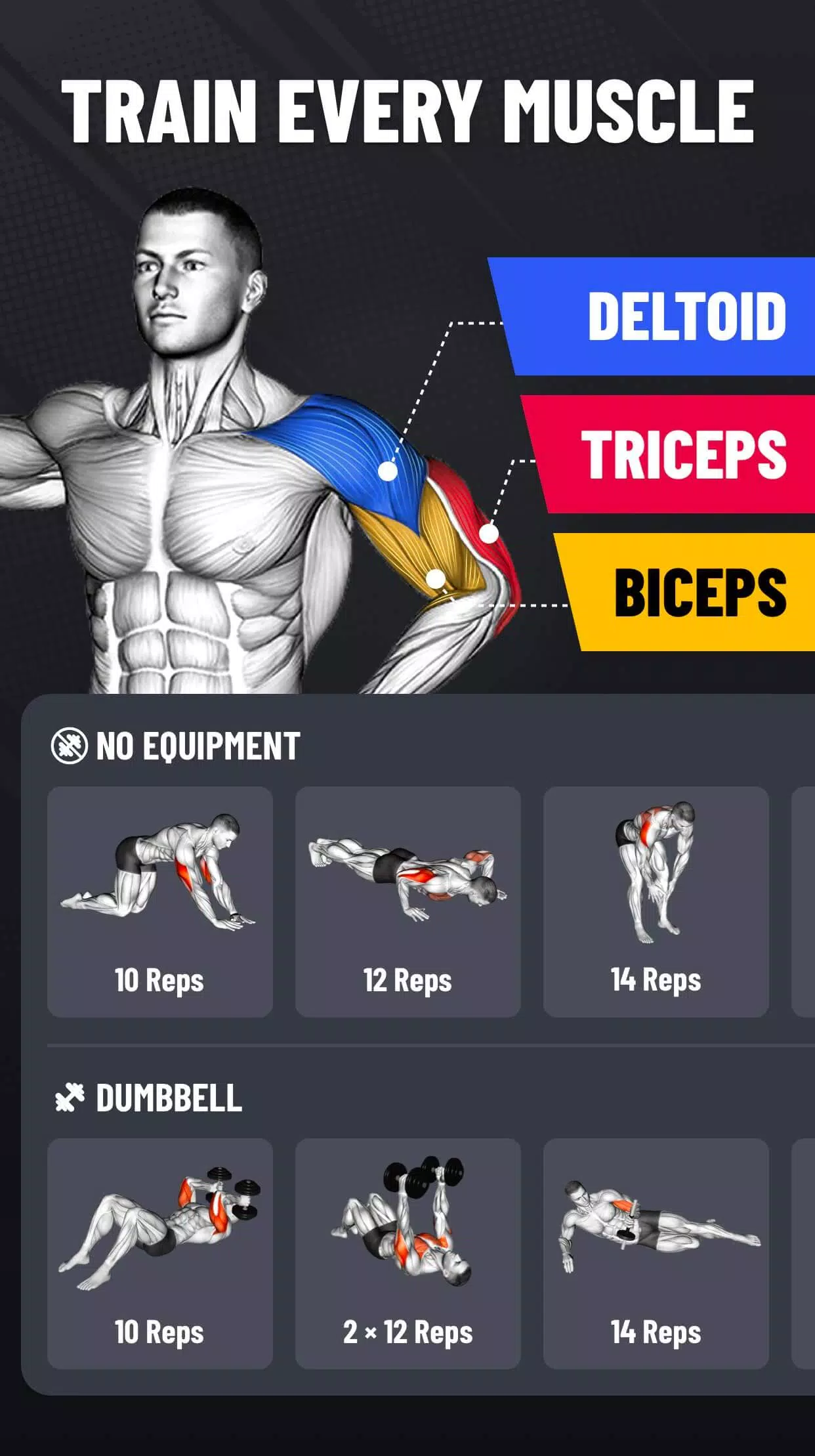 Arm Workout Screenshot 2