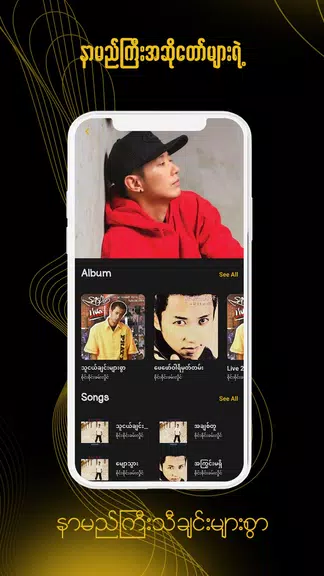 ရွှေနားဆင် Myanmar Audio Books Capture d’écran 4