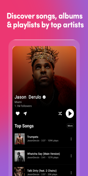 Music Stream Pro: Musiy Screenshot 3