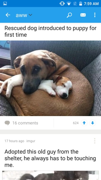 Reddit Official App ภาพหน้าจอ 4