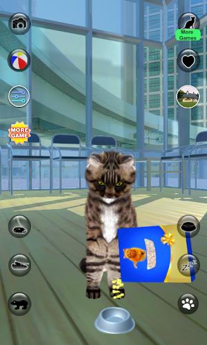 Talking Reality Cat Скриншот 3