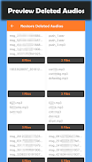 Deleted Audio Recovery Schermafbeelding 3