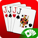 Euchre 3D