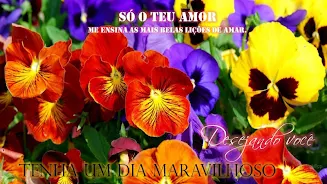 Portuguese Message Good Mornin Скриншот 3