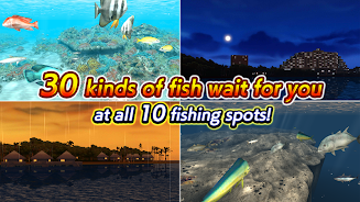 Excite BigFishing Ⅲ Скриншот 4