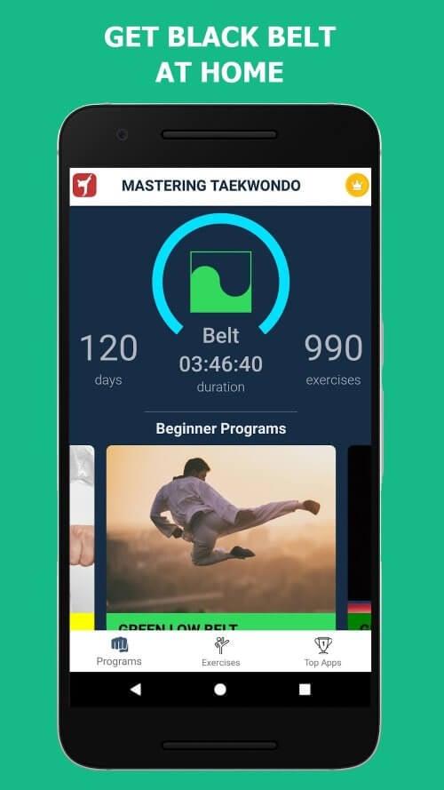 Mastering Taekwondo at Home 스크린샷 3