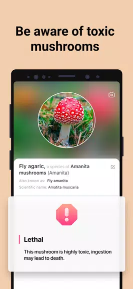Picture Mushroom - Pilzführer Screenshot 3