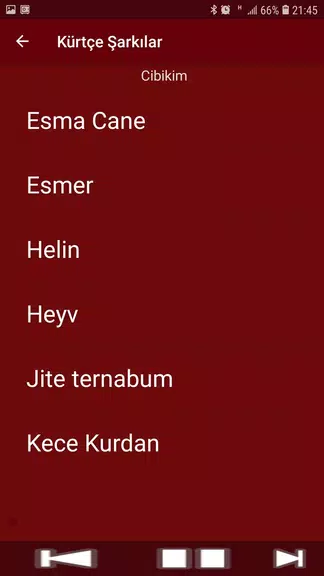 Yeni Kürtçe Şarkılar (İnternetsiz) Capture d’écran 3