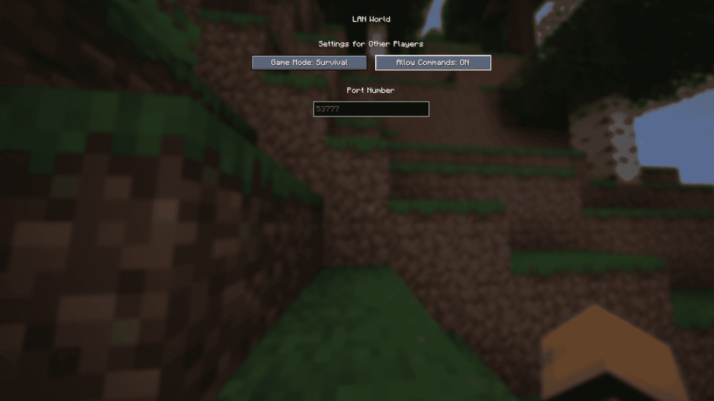 Minecraft LAN Ekranına Açık - Java Edition