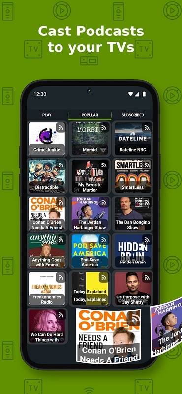 Cast to TV+ Chromecast Roku TV Ekran Görüntüsü 1