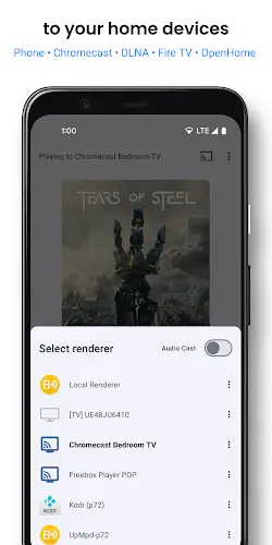 Schermata BubbleUPnP For DLNA/Chromecast 2