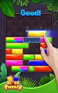 Block Puzzle-Jewel Blast Captura de tela 3