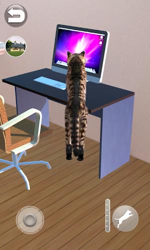 Talking Reality Cat Captura de pantalla 4