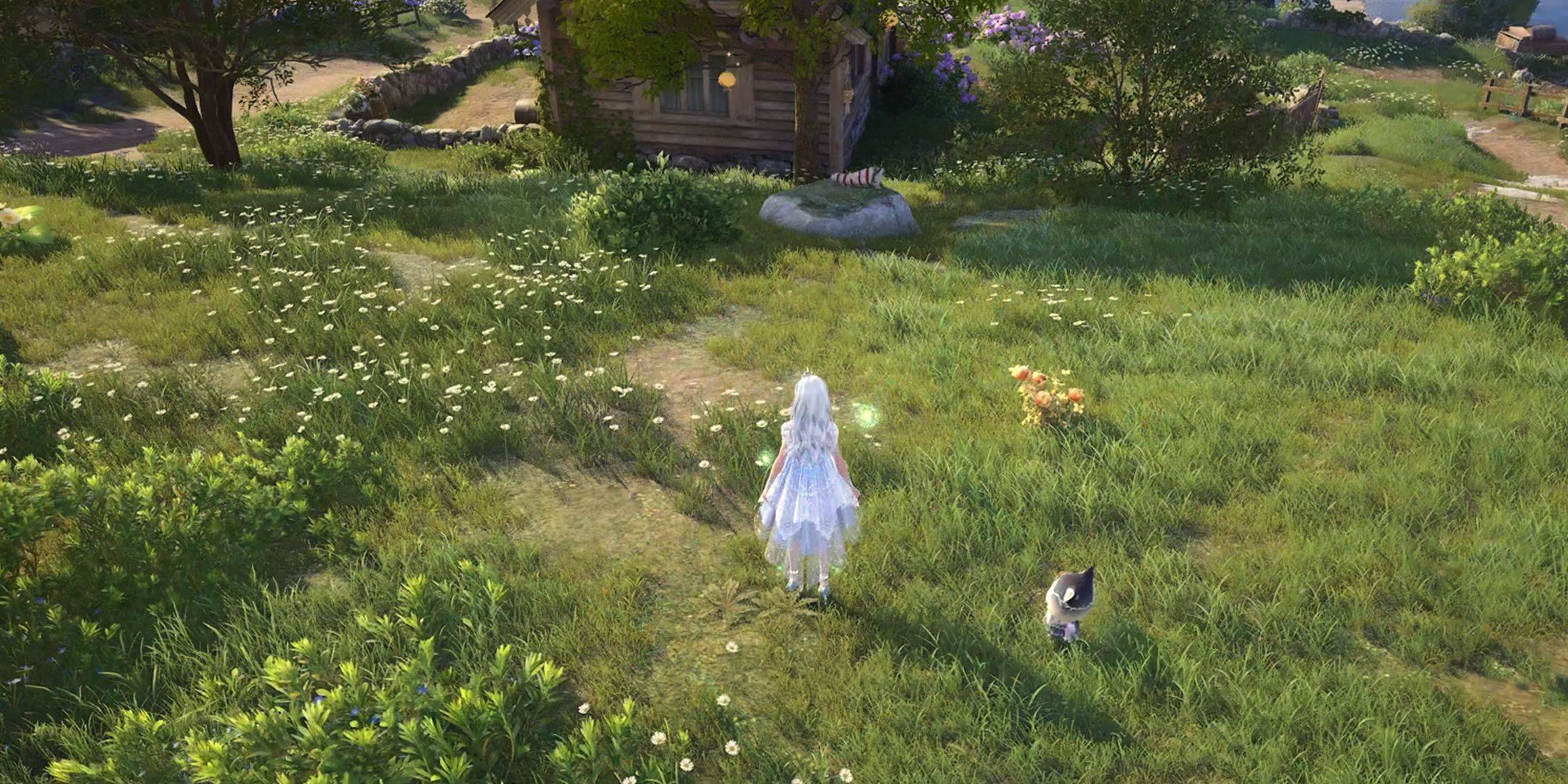 Infinity Nikki：Sockoの取得方法