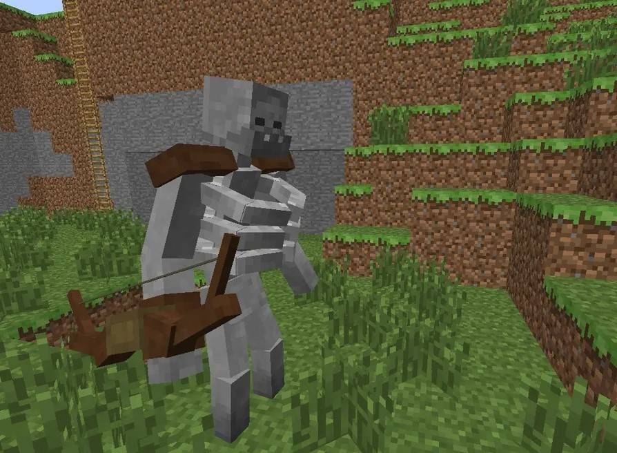 Skeleton Drops in Minecraft