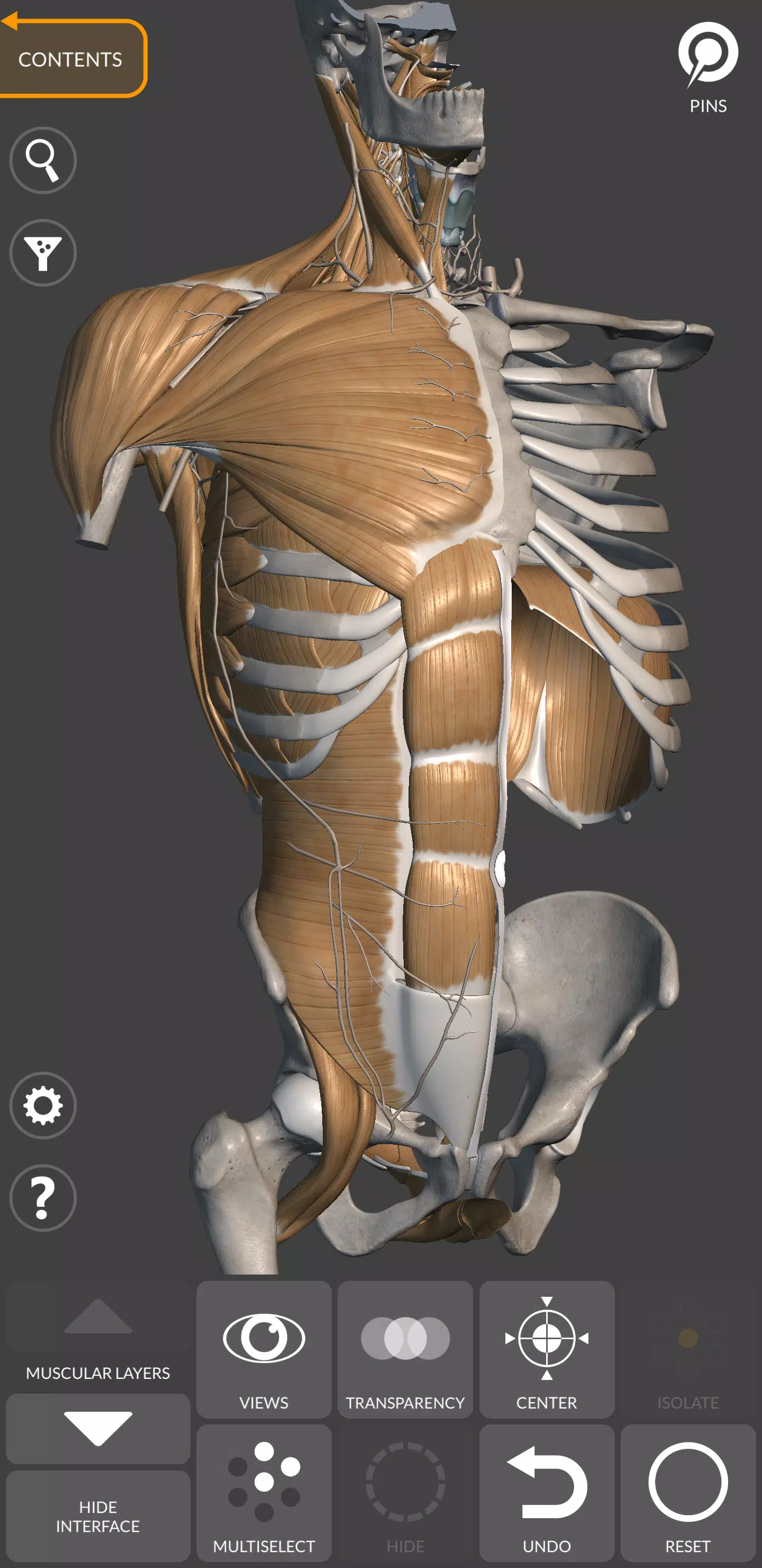 3D Anatomy for the Artist Screenshot 2